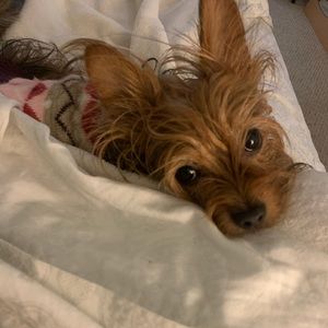 Meet your Posher, Eri